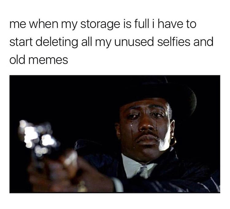 memes - fucked your girl meme - me when my storage is full i have to start deleting all my unused selfies and old memes