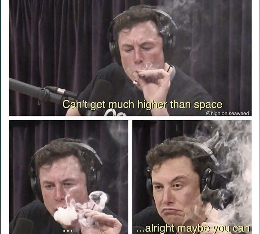 memes - elon musk memes smoking - Can't get much higher than space .on.seaweed ...alright maybe you can