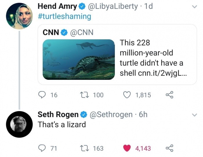 memes - multimedia - Hend Amry 1d Cnn This 228 millionyearold turtle didn't have a shell cnn.it2wjgl... 9 16 27 100 1,815 Seth Rogen That's a lizard 6h 9 71 22 163 4,143 28