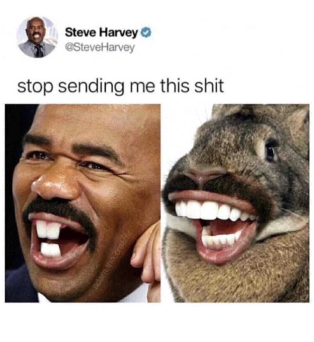 memes - steve harvey memes - Steve Harvey Steve Harvey Harvey stop sending me this shit adam, the cro
