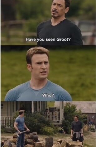 groot memes - Have you seen Groot? Who?