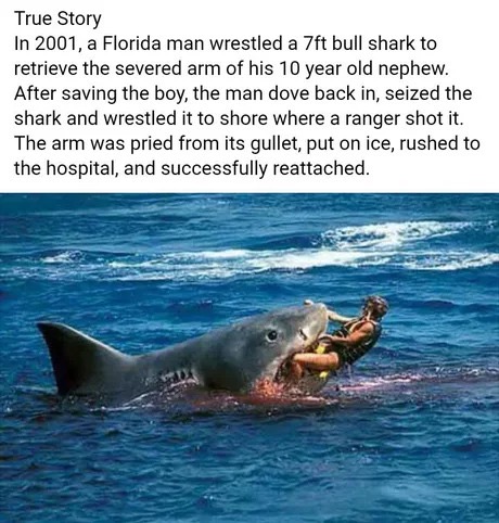 most dangerous shark - True Story In 2001, a Florida man wrestled a 7ft bull shark to retrieve the severed arm of his 10 year old nephew. After saving the boy, the man dove back in, seized the shark and wrestled it to shore where a ranger shot it. The arm