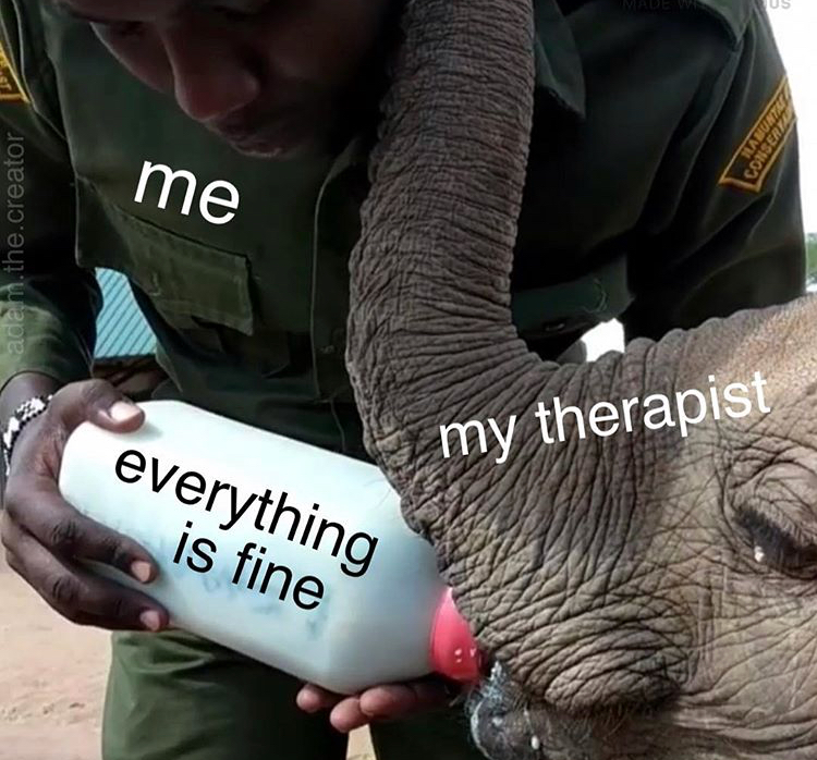 elephant - me adm the.creator my therapist everything is fine