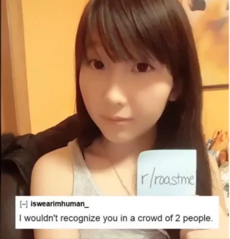 you ask the internet to roast you - rroastme Hiswearimhuman_ I wouldn't recognize you in a crowd of 2 people,