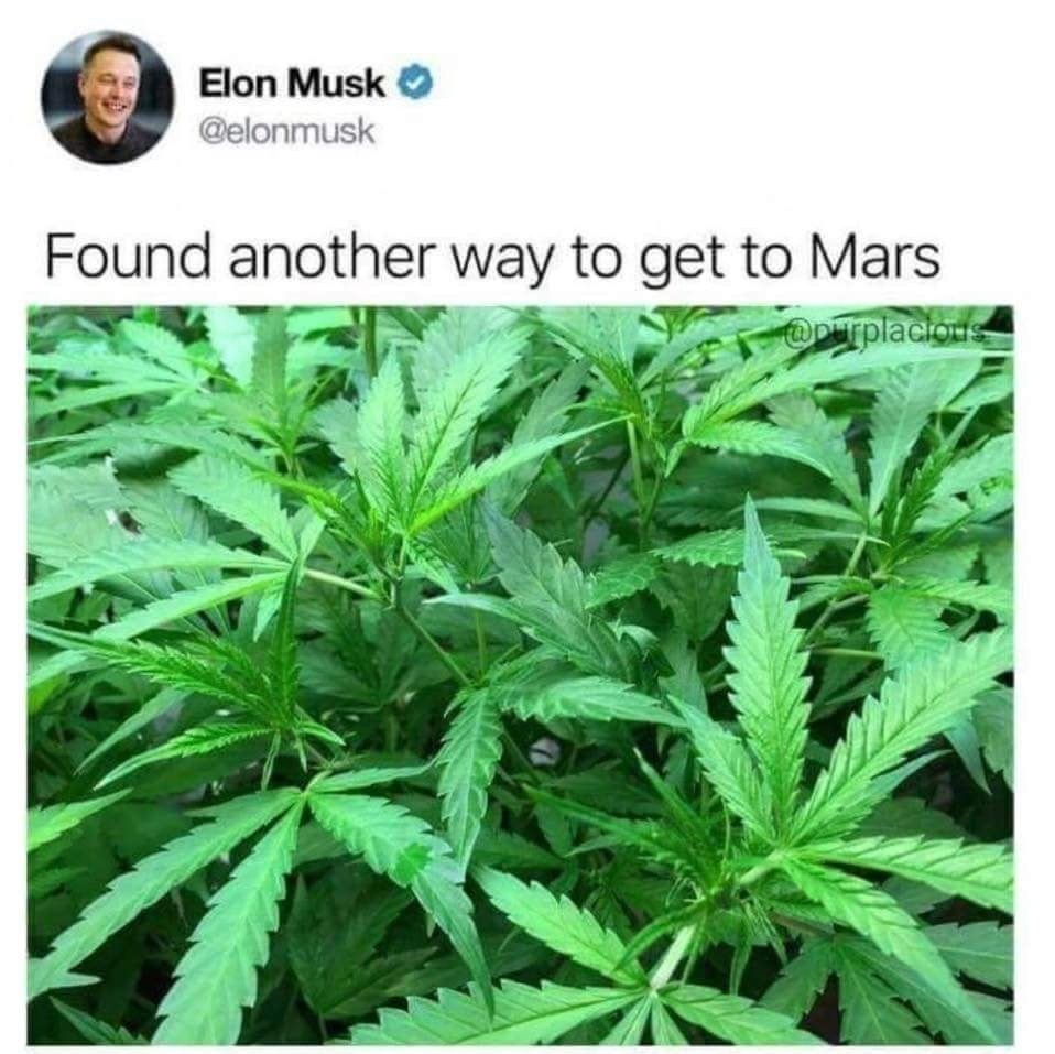 found another way to get to mars - Elon Musk Found another way to get to Mars