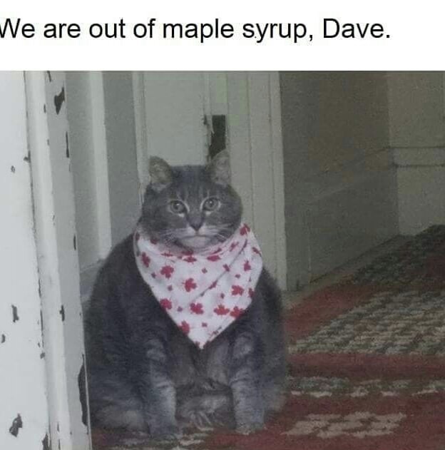 memes - we re out of maple syrup dave - We are out of maple syrup, Dave.