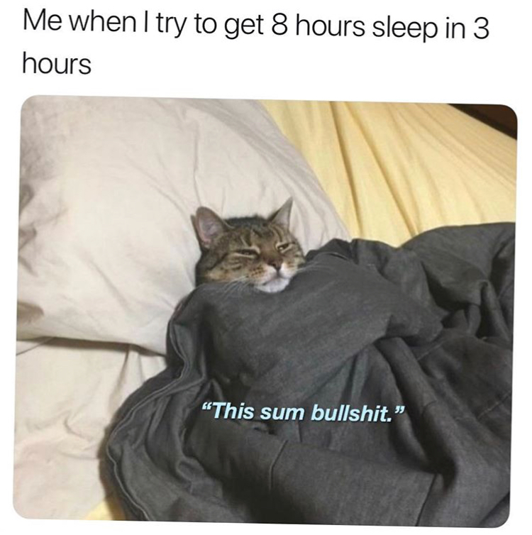 cat this sum bullshit - Me when I try to get 8 hours sleep in 3 hours "This sum bullshit."