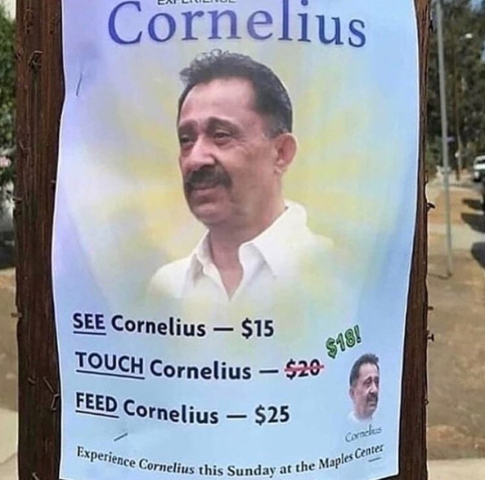 memes - experience cornelius - Cornelius See Cornelius $15 Touch Cornelius $29 Feed Cornelius $25 erience Cornelius this Sunday at Cornelos at the Maples Center