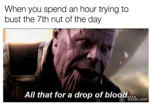 memes - all that for a drop of blood meme - When you spend an hour trying to bust the 7th nut of the day All that for a drop of blood.....