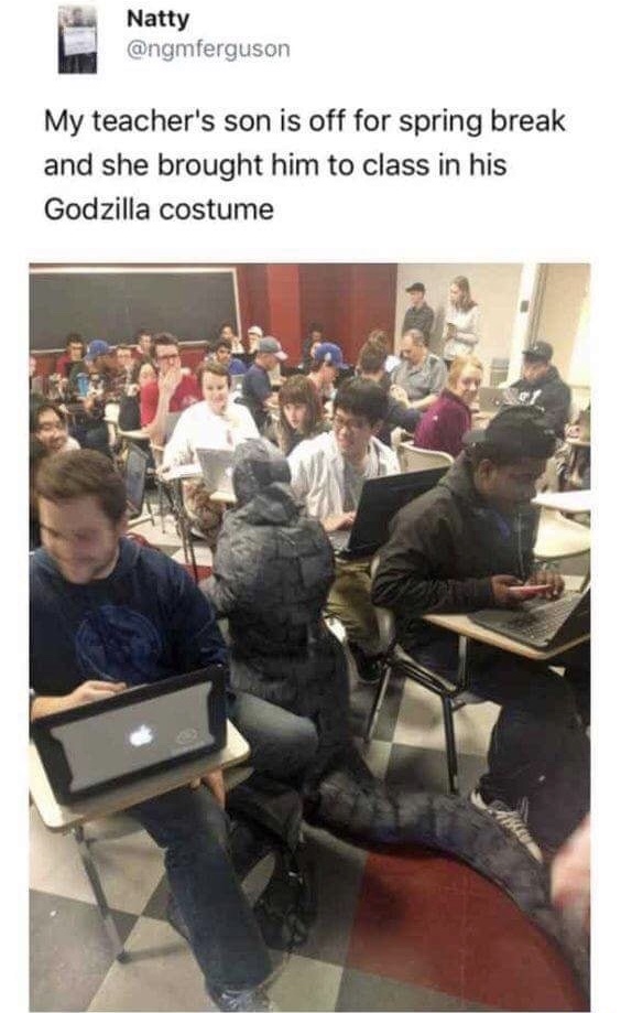 memes - Humour - Natty My teacher's son is off for spring break and she brought him to class in his Godzilla costume