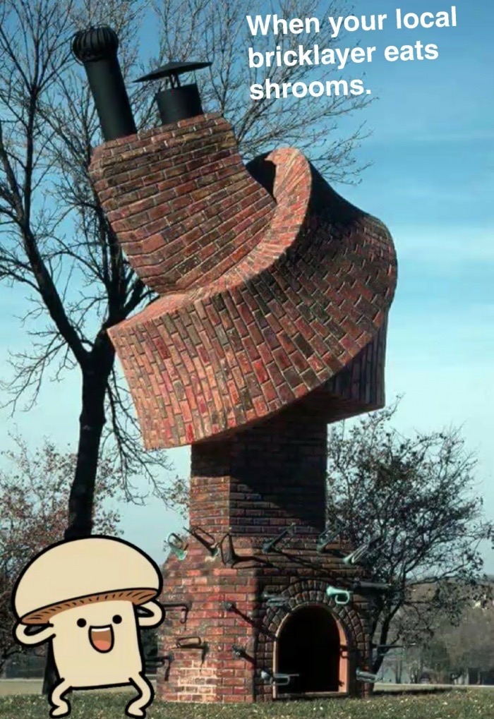 memes - dennis oppenheim art - When your local bricklayer eats shrooms.