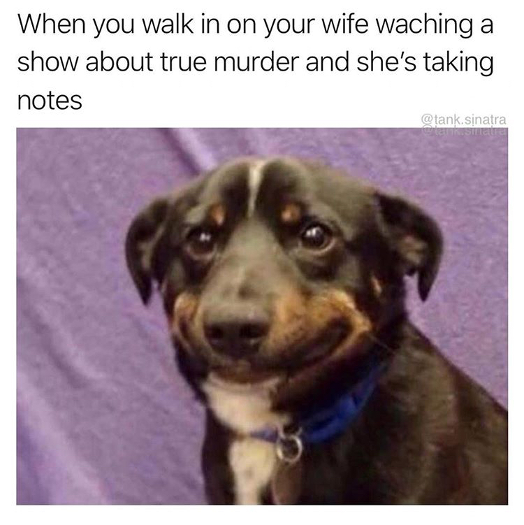 memes - funny doggo meme - When you walk in on your wife waching a show about true murder and she's taking notes .sinatra