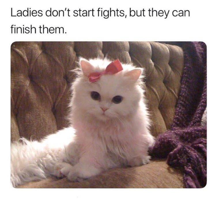 ladies don t start fights - Ladies don't start fights, but they can finish them.