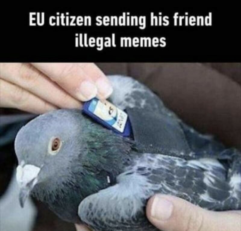 funny meme about the eu banning memes