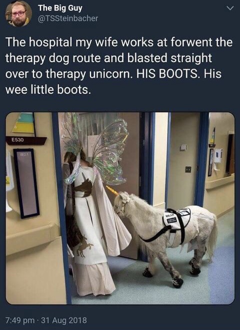 therapy unicorn hospital - The Big Guy The hospital my wife works at forwent the therapy dog route and blasted straight over to therapy unicorn. His Boots. His wee little boots. E530
