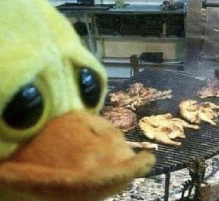 memes - cursed duck