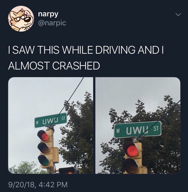 memes - don t uwu $350 penalty - narpy Isaw This While Driving And I Almost Crashed W Uwu St w Uwv St 92018,