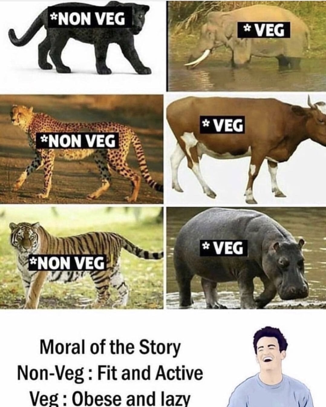 memes - veg vs non veg - Non Veg S Evec Veg Veg Non Veg Veg Non Vegi Vata Moral of the Story NonVeg Fit and Active Veg Obese and lazy