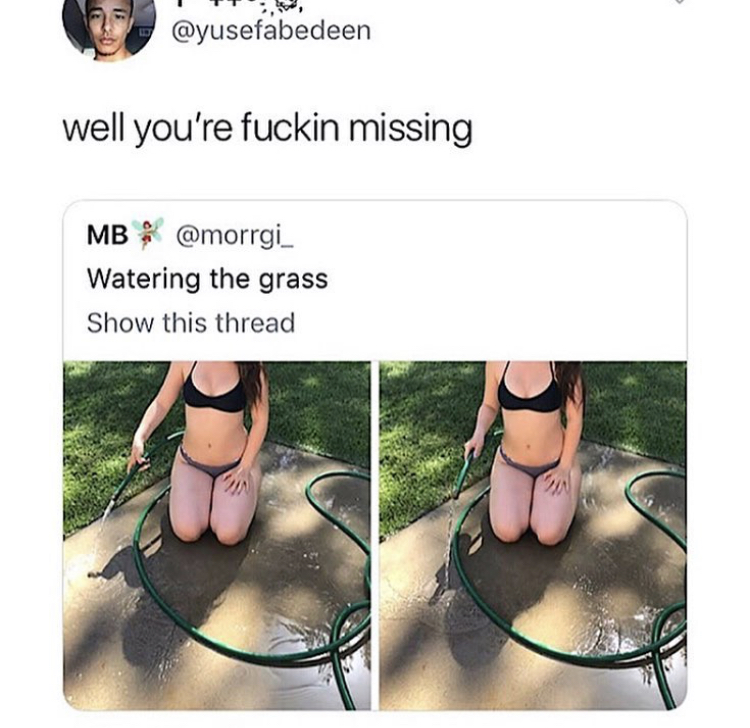 photo caption - Tt , well you're fuckin missing Mb Watering the grass Show this thread