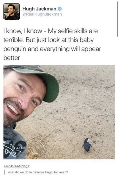 hugh jackman baby penguin - Hugh Jackman I know, I know My selfie skills are terrible. But just look at this baby penguin and everything will appear better Uzau Ilotsofthings. what did we do to deserve Hugh Jackman?