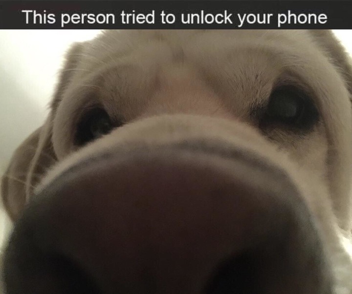 person try to unlock your phone - This person tried to unlock your phone