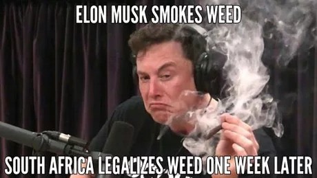 meme - elon musk madlad - Elon Musk Smokes Weed South Africa Legalizes.Weed'One Week Later
