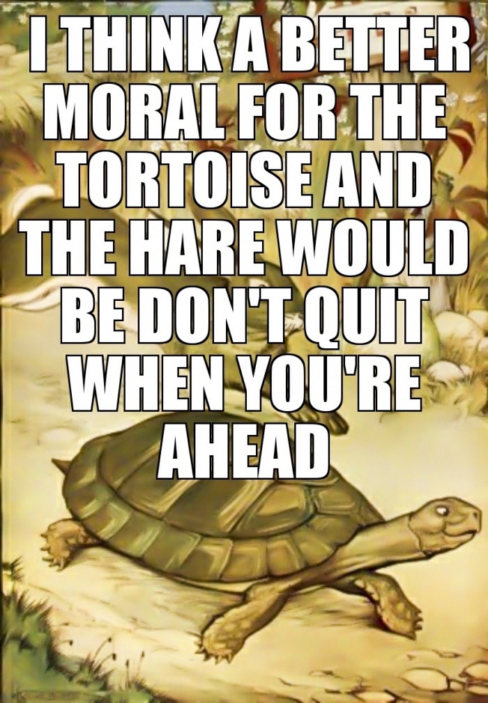 tortoise - I Think A Better Moral For The Tortoise And The Hare Would Be Don'T Quit When You'Res Ahead