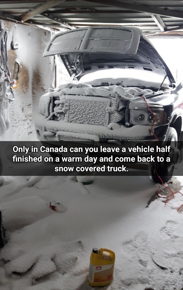 auto repair hump day nemes - Only in Canada can you leave a vehicle half finished on a warm day and come back to a snow covered truck.