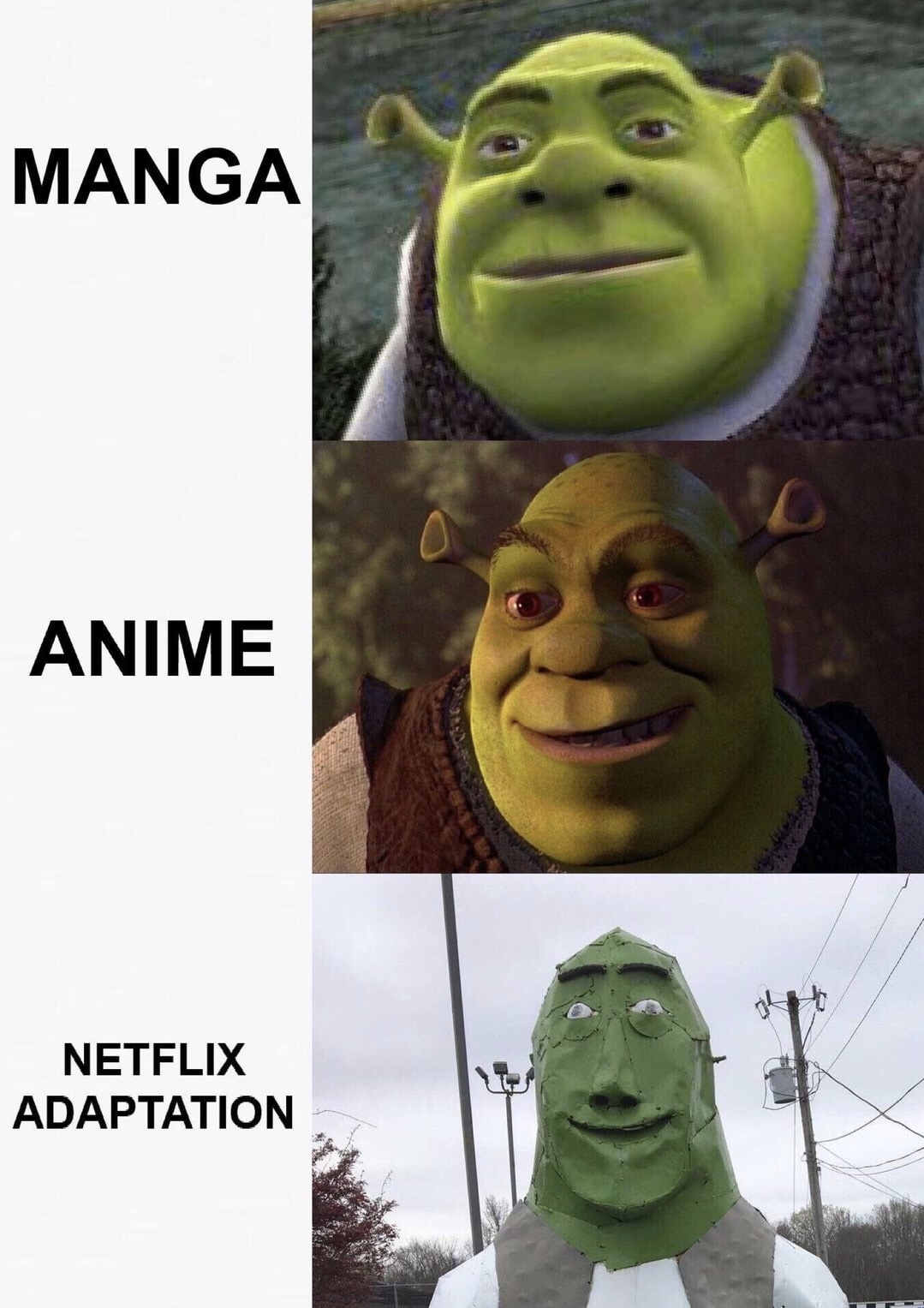 netflix adaptation meme shrek - Manga Anime Netflix Adaptation