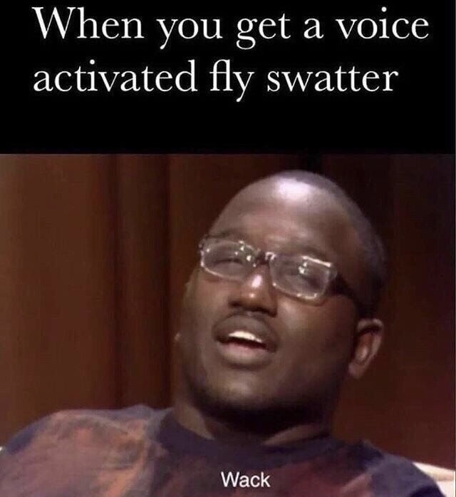 wack memes - When you get a voice activated fly swatter Wack