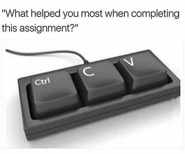 helped you most with this assignment - "What helped you most when completing this assignment?" Ctrl