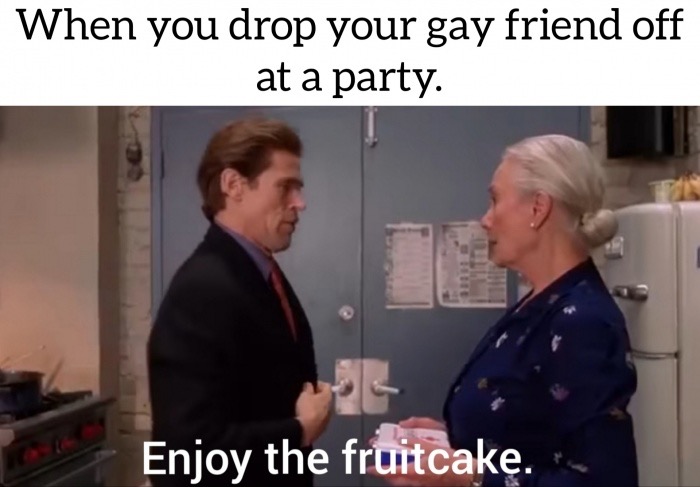 memes - presentation - When you drop your gay friend off at a party. Enjoy the fruitcake.