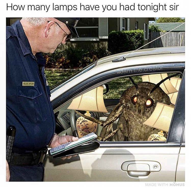 memes - police officer pulling someone over - How many lamps have you had tonight sir Made With Homus