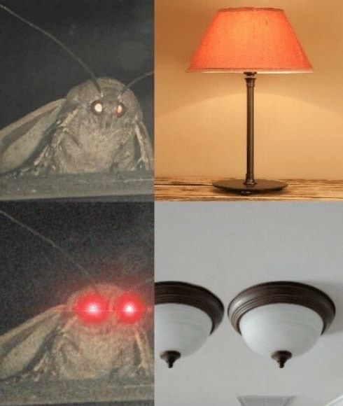 memes - lamps meme