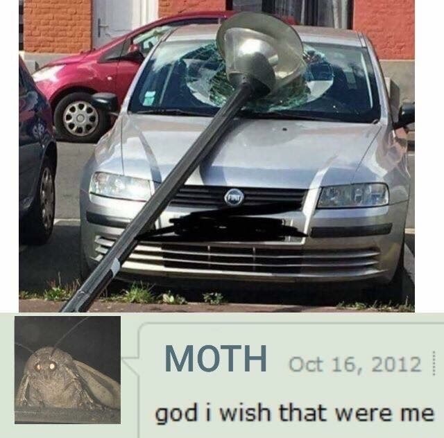 memes - moth god i wish that were me - Moth | god i wish that were me