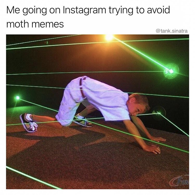 funny meme about the prevalence of moth memes with kid in a laser maze
