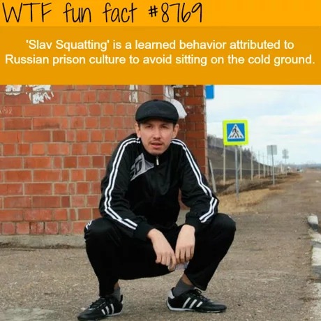 funny meme about the history behind slav squatting