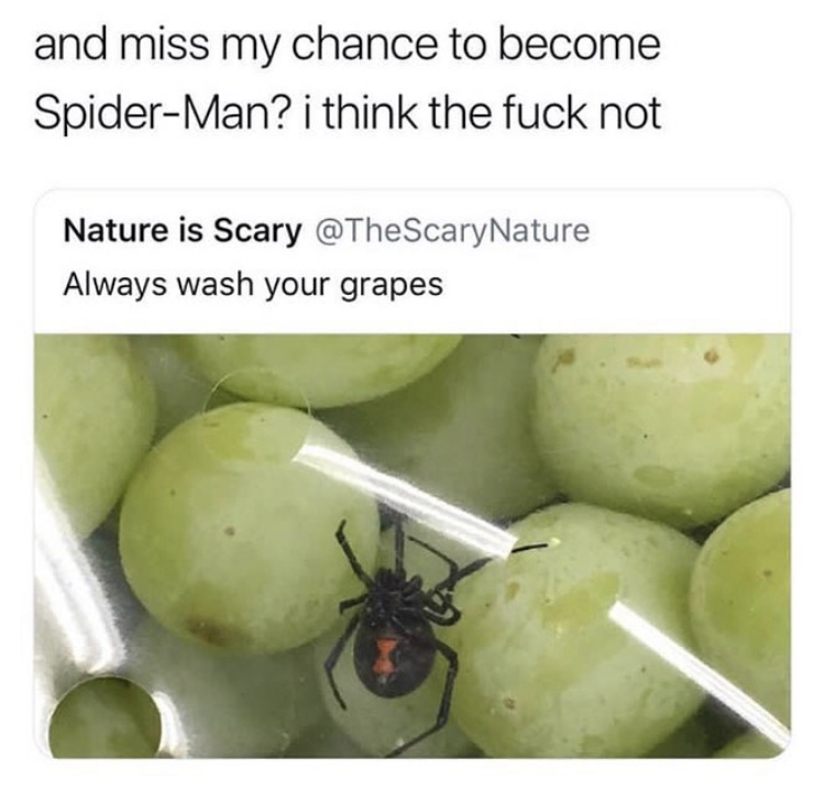 funny meme about not washing grapes to become Spider Man