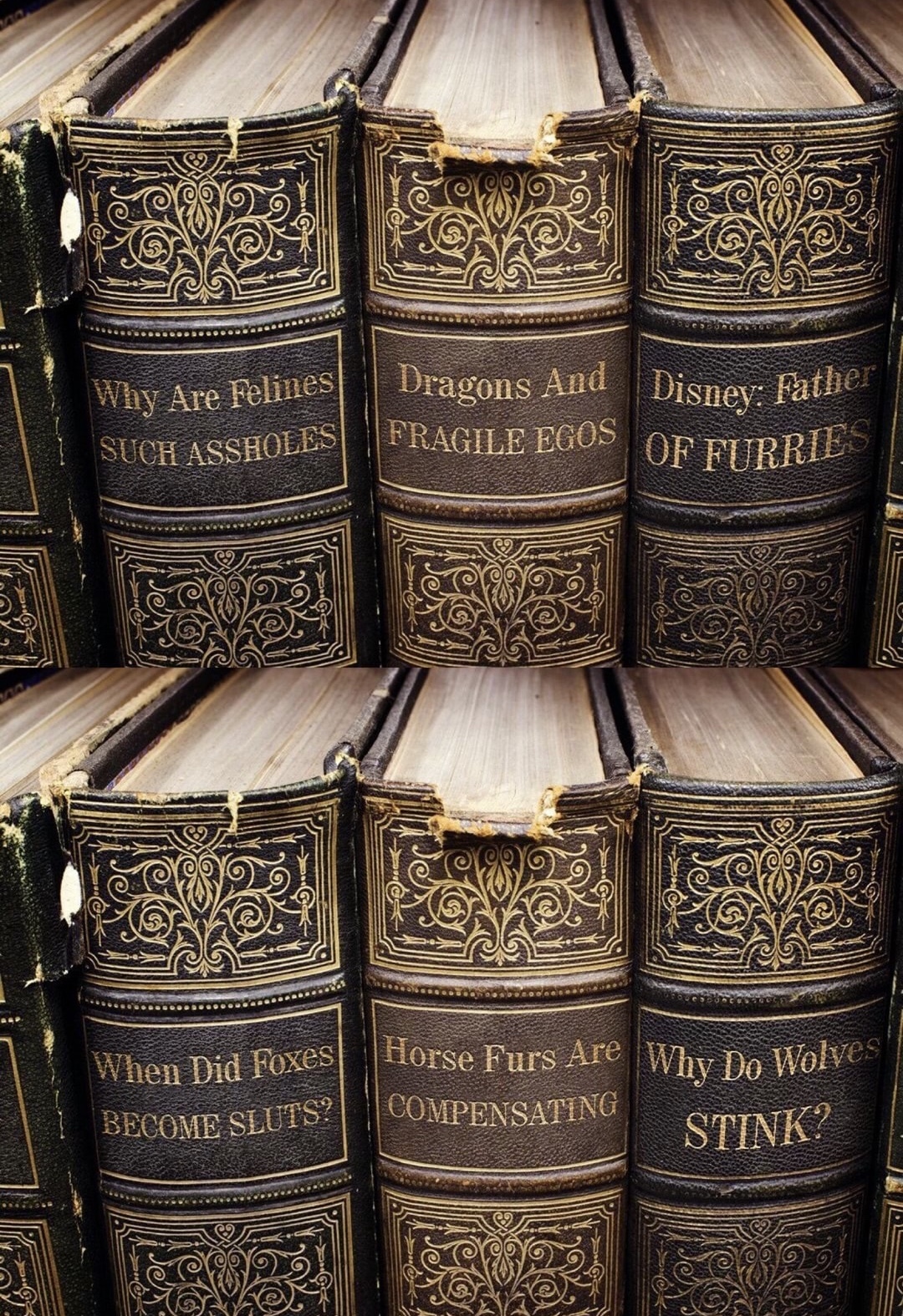 funny meme of ancient tomes with silly titles