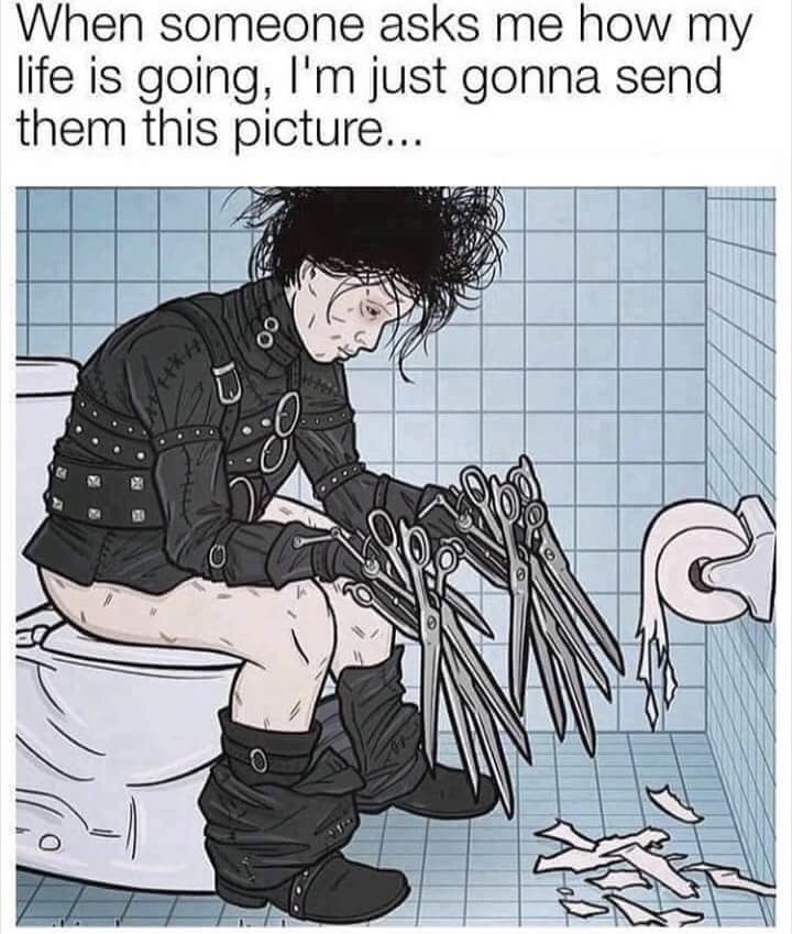 Funny meme of Edward Scissorhands non the toilet