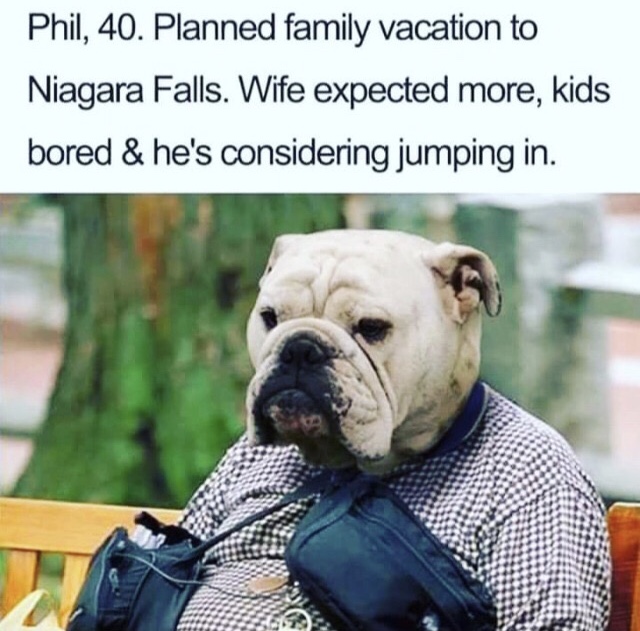 dog meme about grumpy dads