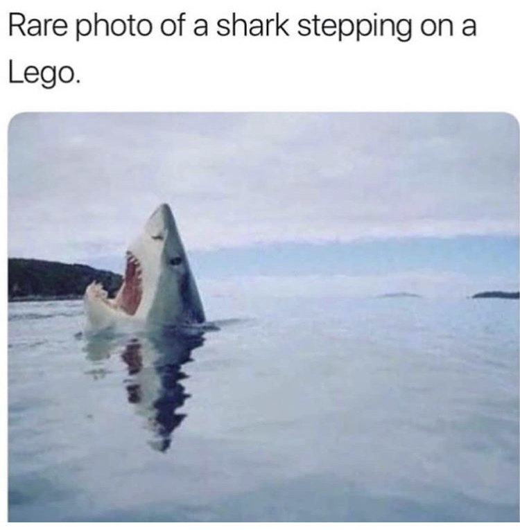 meme of shark stepping on painful lego