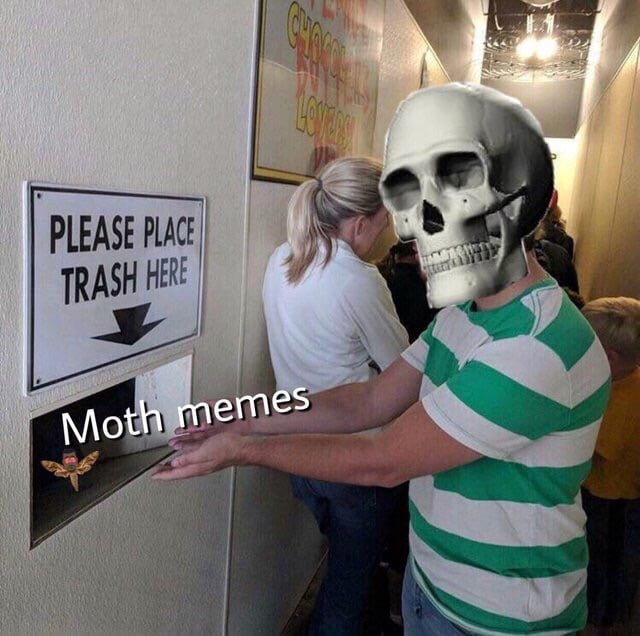 spooky memes moth - Please Place Trash Here Moth memes
