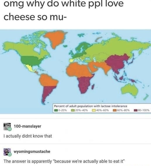 do white people like cheese so much - omg why do white ppl love cheese so mu Percent of adult population with lactose intolerance 020% 20% 40% 40%60% 30% 100manslayer I actually didnt know that wyomingsmustache The answer is apparently "because we're actu