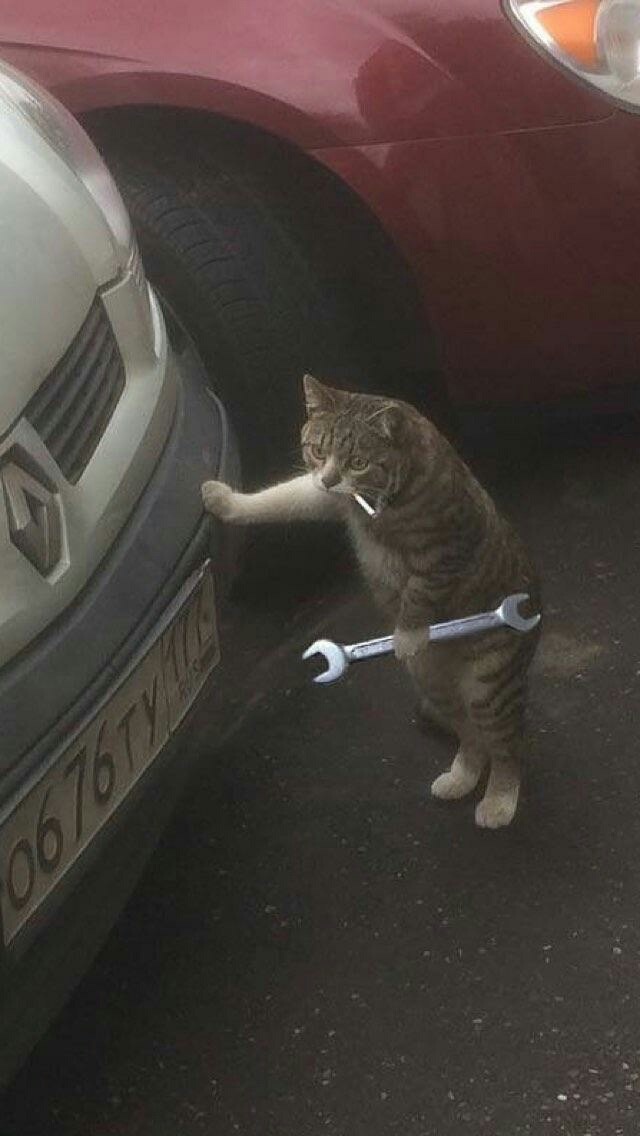 kitty mechanic - 12290