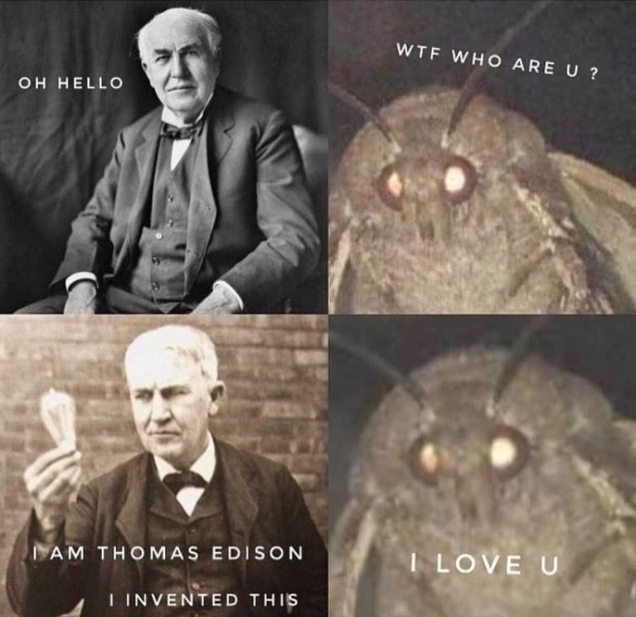 meme stream - funny moth meme - Wtf Who Are U? Oh Hello A M T H O Mas E D1 Song I Love U I Invented This