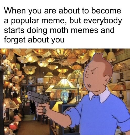 tintin vs moth memes - When you are about to become a popular meme, but everybody starts doing moth memes and forget about you