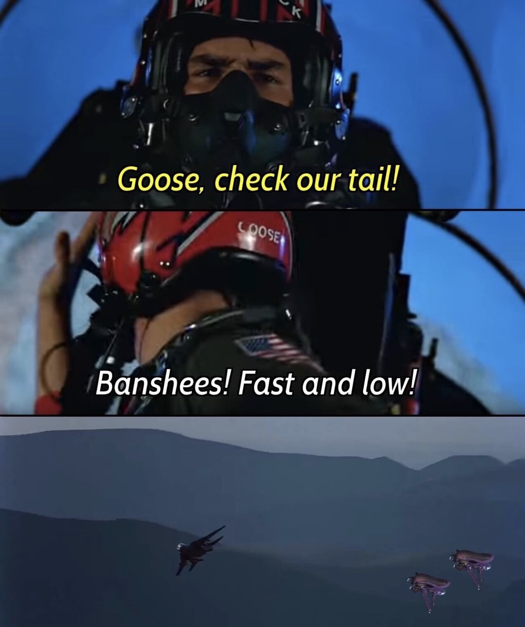 helmet - Goose, check our tail! Loose Banshees! Fast and low!