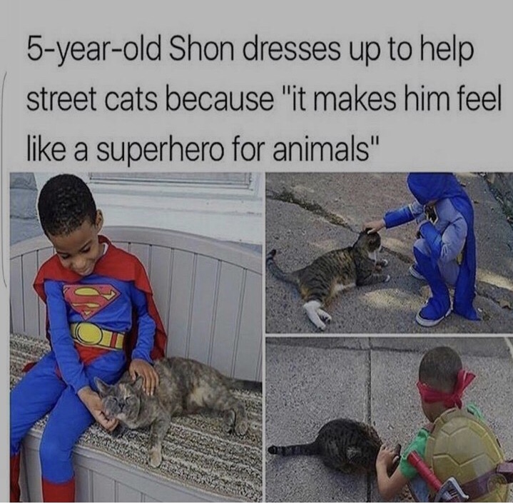 superhero helping animals - 5yearold Shon dresses up to help street cats because "it makes him feel a superhero for animals"