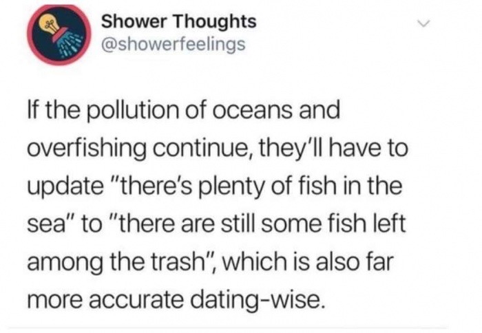married a stale ham sandwich - Shower Thoughts If the pollution of oceans and overfishing continue, they'll have to update "there's plenty of fish in the sea" to "there are still some fish left among the trash", which is also far more accurate datingwise.